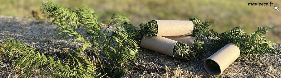 Des allume feu fougères et rouleaux papier wc