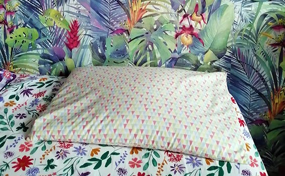 Oreiller Millet de Ma Vie éco