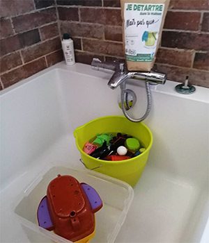 Tartre et Calcaire, rien ne résiste à l'Acide Citrique