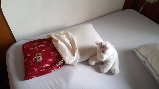 L'Oreiler Millet de Ma Vie Eco