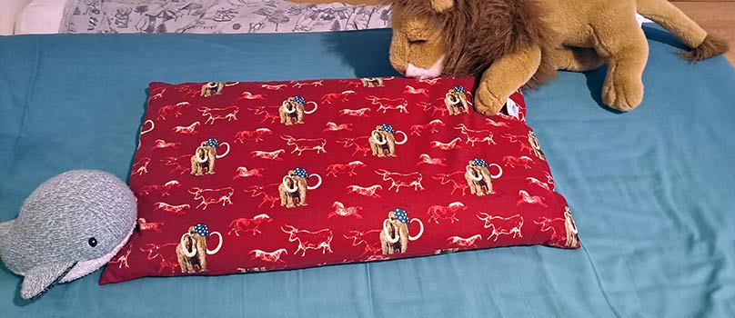 l'Oreiller Millet de MaVieEco.fr