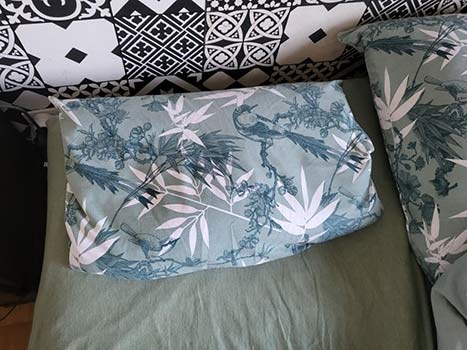 Oreiller Millet de Ma Vie éco