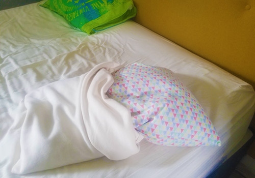 L'Oreiller épeautre de Ma VIe Eco