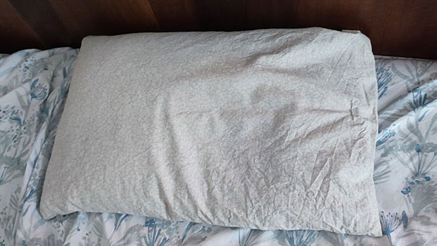 L'Oreiller épeautre de Ma VIe Eco