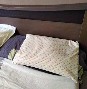 Oreiller Millet de Ma Vie éco