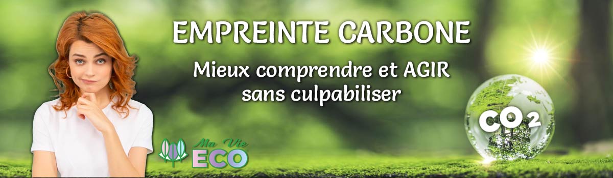 Les enquêtes