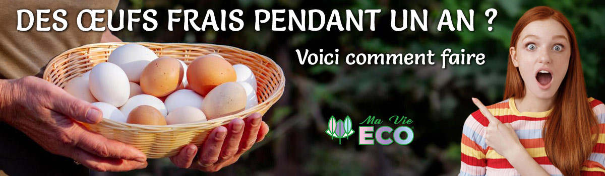Les enquêtes
